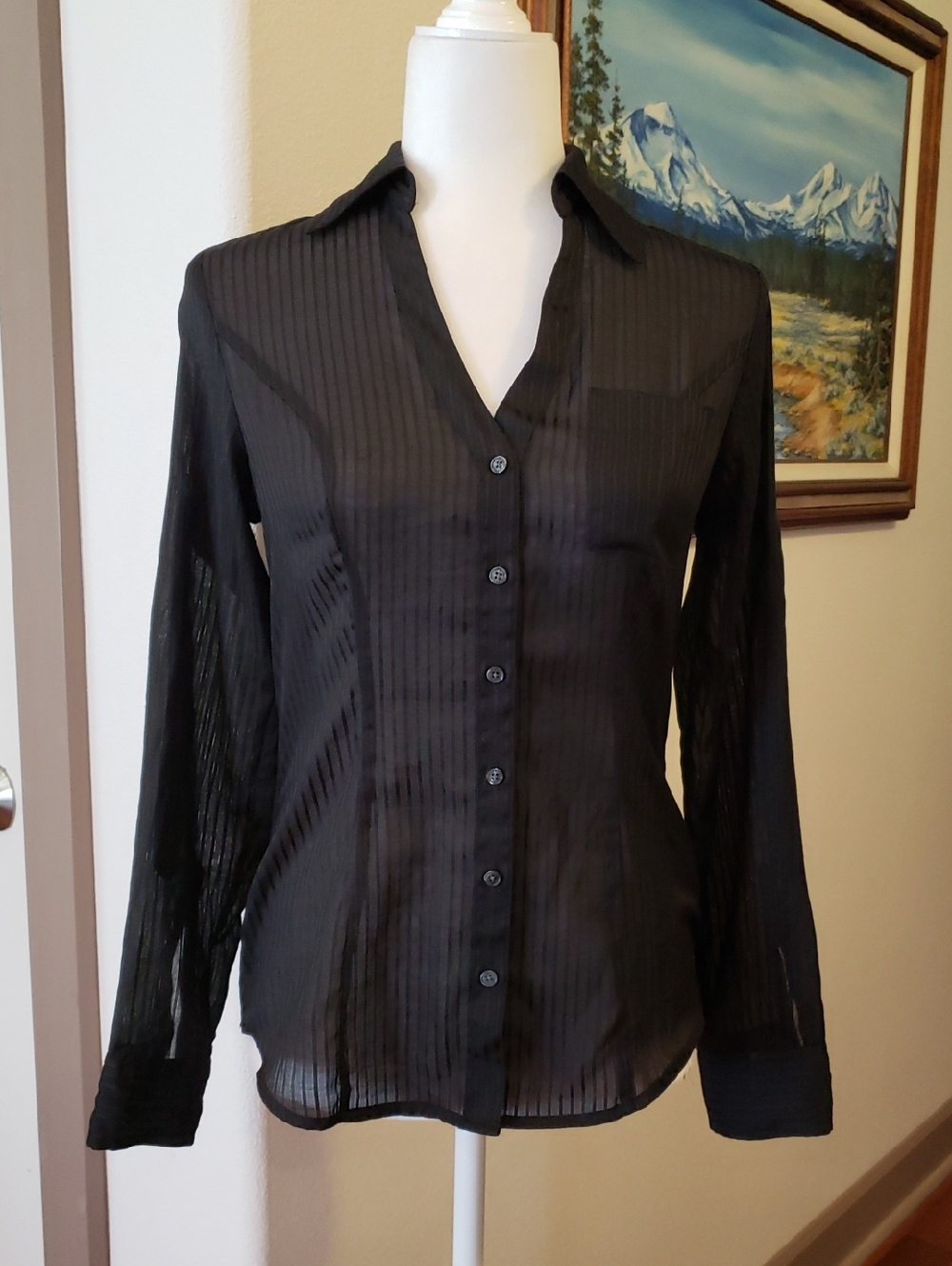 Express Women's Size XS Sheer Black On Black Stripe Button Down Shirt